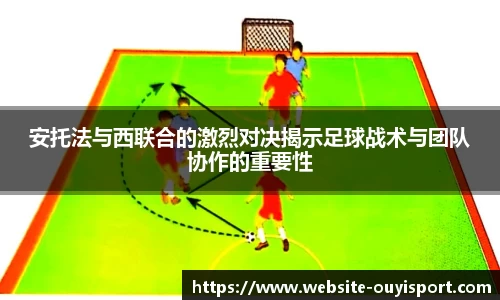 欧亿体育官网